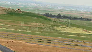أرض - عمان - الموقر - 15000 دأ
